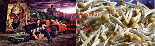 дистиллят марихуана Балахна