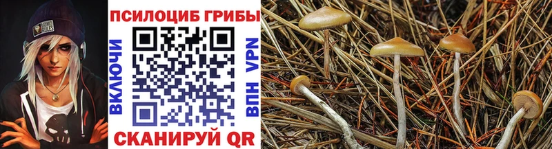 Галлюциногенные грибы MAGIC MUSHROOMS  цена наркотик  Коммунар 